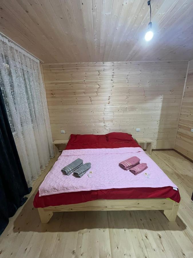 Guest House Caucasioni Adishi Ngoại thất bức ảnh